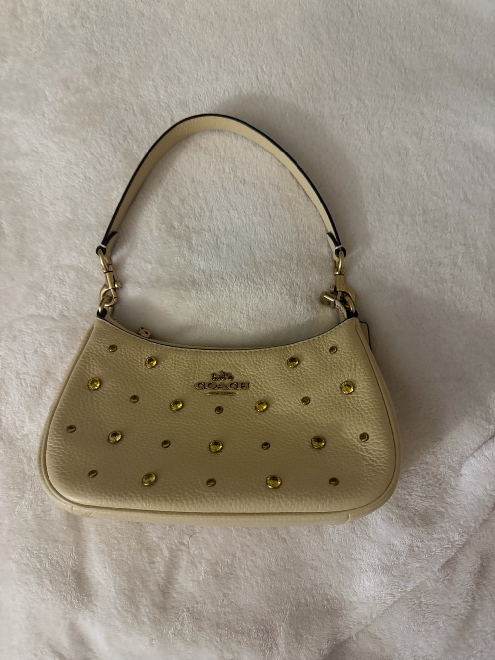 Coach Teri bag